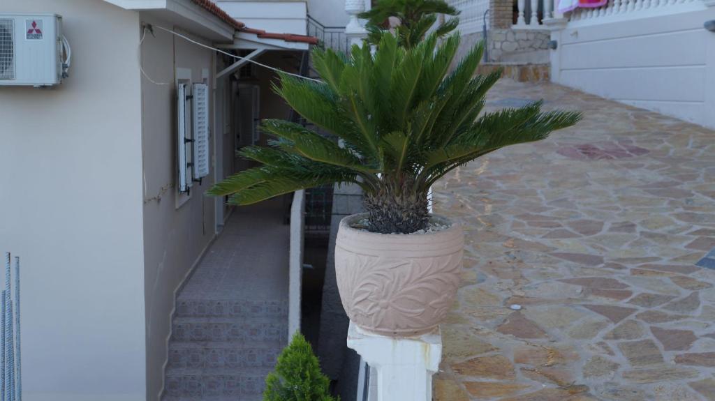 Corali Beach Tsilivi (Zakynthos) Exterior foto